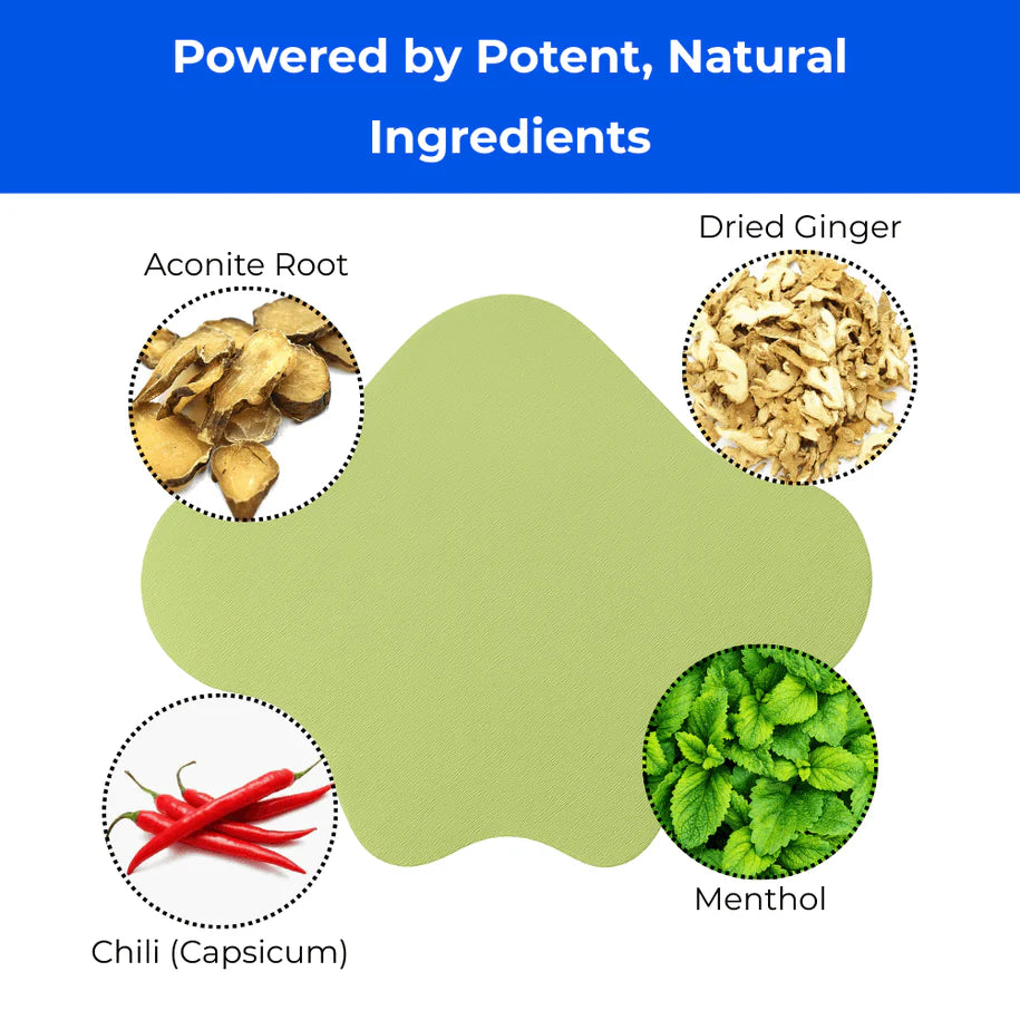 Chavsi- Sciatica Back Pain Relief Patches (12pcs)