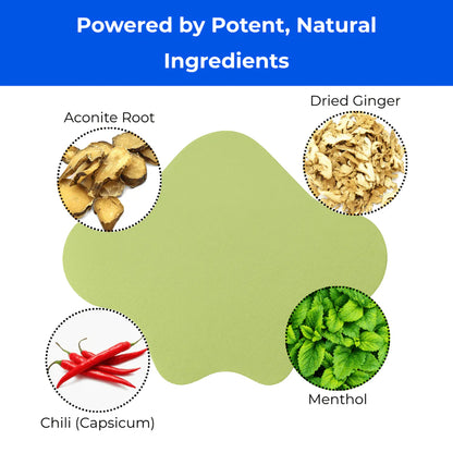 Chavsi- Sciatica Back Pain Relief Patches (12pcs)